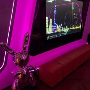 杭州小姐妹寻职记：电商行业新机遇