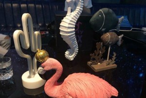 杭州萧山区浦阳镇附近夜总会招聘包厢服务员,生意好好上班的