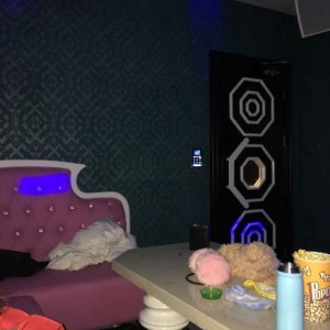 小说级招聘文案（编织梦想团队：小说级招募启事）