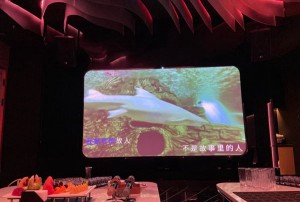 杭州拱墅区东新街道附近夜场招聘商务礼仪,入职需要什么条件