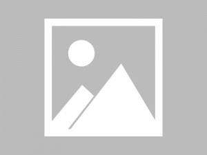 招聘保安阿姨的条件（招募保安岗位女性候选人的要求）