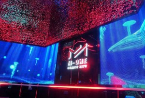 杭州中低档夜场招聘酒水销售员,应聘有哪些要求