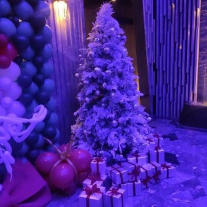 杭州绍兴夫妻求职，共探IT／制造行业机遇